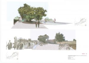 Carballo Santa Margarida II